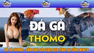 đá gà Thomo