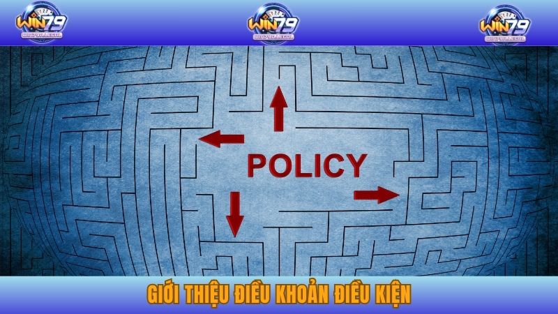 Giới thiệu điều khoản điều kiện