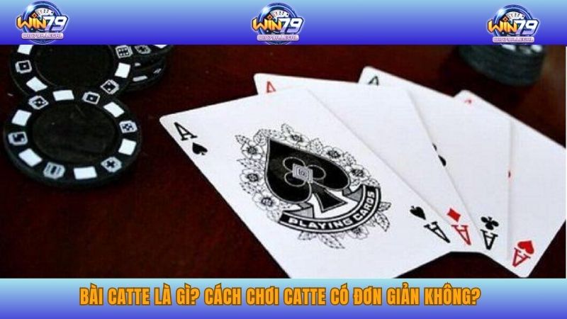 Bài catte là gì? Cách chơi catte có đơn giản không?