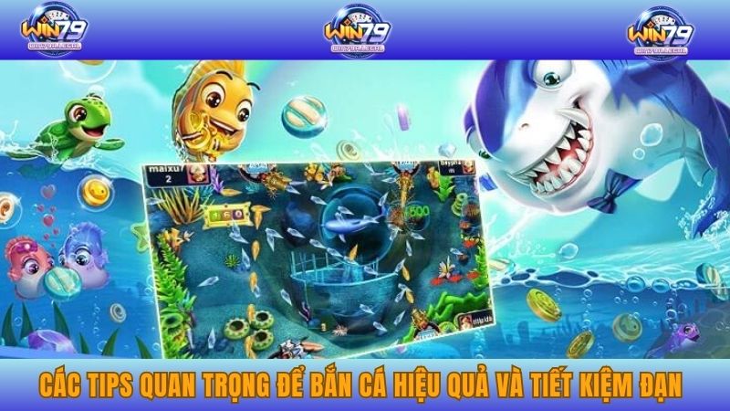 Các tips quan trọng để bắn cá hiệu quả và tiết kiệm đạn