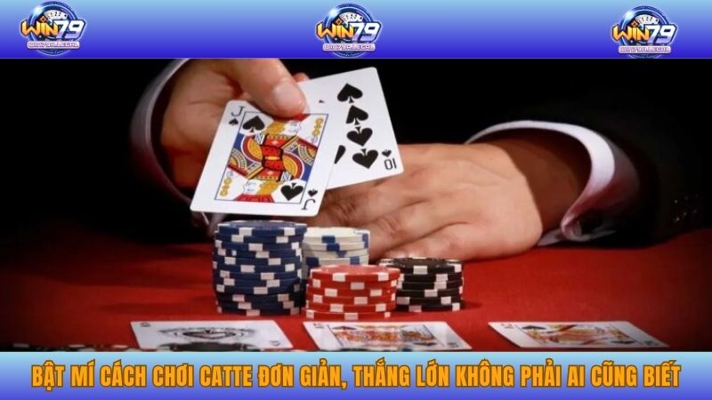 Bật mí cách chơi catte đơn giản, thắng lớn không phải ai cũng biết.