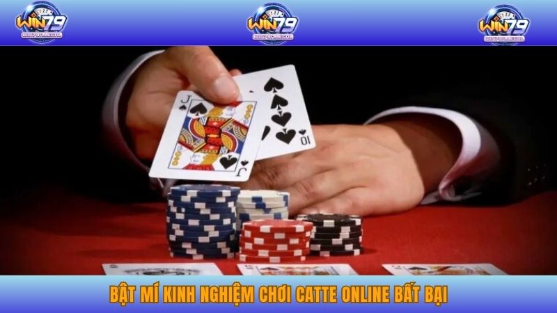 Bật mí kinh nghiệm chơi catte online bất bại.