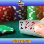 Hướng Dẫn Chi Tiết Cách Chơi Catte Thu Lợi Nhuận Khủng