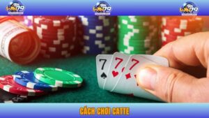 Hướng Dẫn Chi Tiết Cách Chơi Catte Thu Lợi Nhuận Khủng