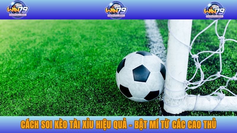 Cách soi kèo tài xỉu hiệu quả - Bật mí từ các cao thủ