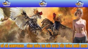 Đá gà Campuchia - Hình thức thi đấu được yêu thích nhất 2025