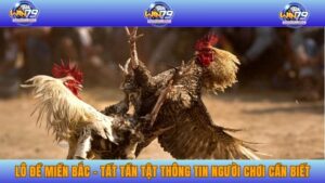 Đá gà cựa dao – Cá cược đá gà kịch tính, hấp dẫn