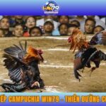 Đá Gà Trực Tiếp Campuchia WIN79 - Thiên Đường Cược Đỉnh Cao