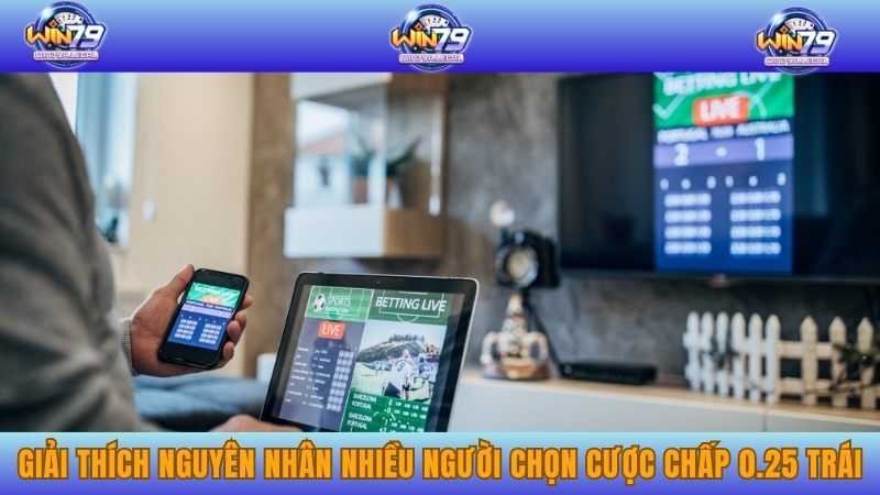 Giải thích nguyên nhân nhiều người chọn cược chấp 0.25 trái