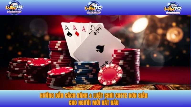 Hướng dẫn cách đánh & luật chơi catte đơn giản cho người mới bắt đầu.