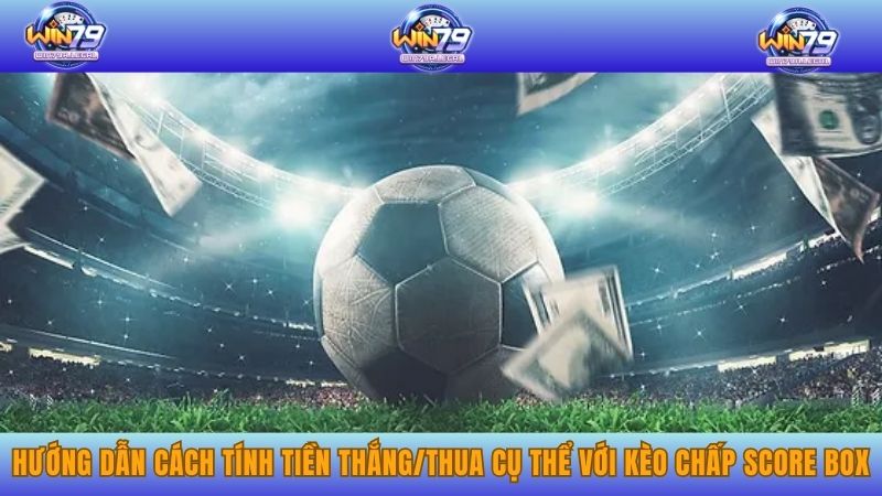 Hướng dẫn cách tính tiền thắng/thua trong kèo chấp Score Box