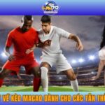 Tất Tần Tật Về Kèo Macao Dành Cho Các Tân Thủ Tại WIN79
