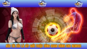 Kèo Tài Xỉu Là gì? Giới Thiệu Tổng Quan Dành Cho Newbie