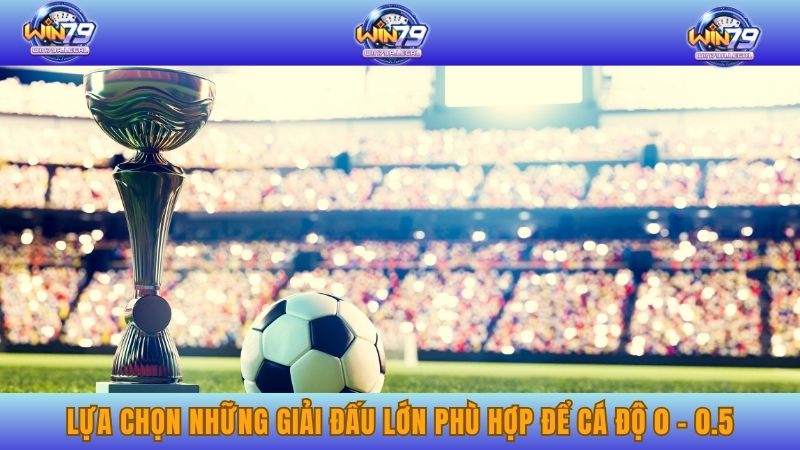 Lựa chọn những giải đấu lớn phù hợp để cá độ 0 - 0.5