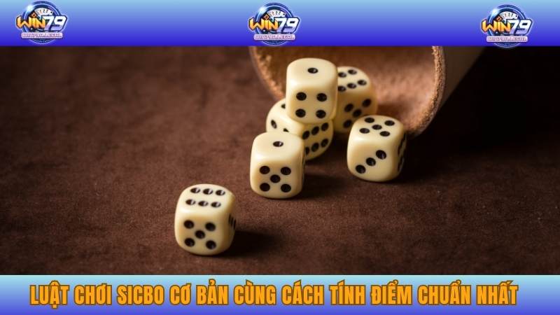 Luật chơi Sicbo cơ bản cùng cách tính điểm chuẩn nhất