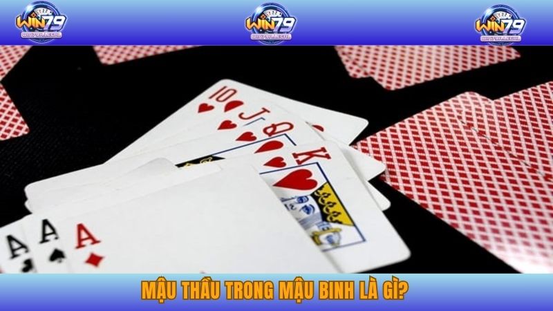 Mậu Thầu Trong Mậu Binh Là Gì? Mẹo Chinh Phục TOP 1 Mậu Thầu
