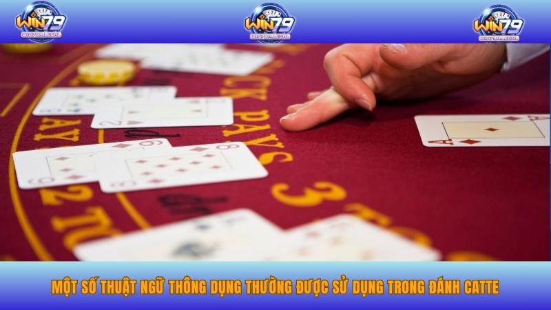 Một số thuật ngữ thông dụng thường được sử dụng trong đánh catte.