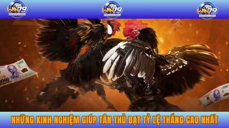 Những kinh nghiệm giúp tân thủ đạt tỷ lệ thắng cao nhất