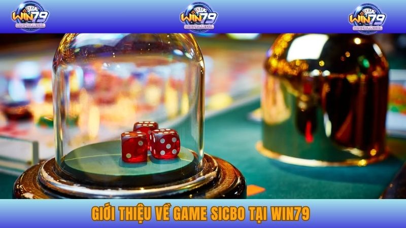 Giới thiệu về game Sicbo tại WIN79