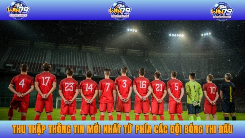 Thu thập thông tin mới nhất từ phía các đội bóng thi đấu