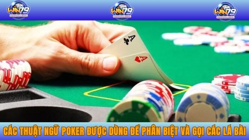 Các thuật ngữ Poker được dùng để phân biệt và gọi các lá bài